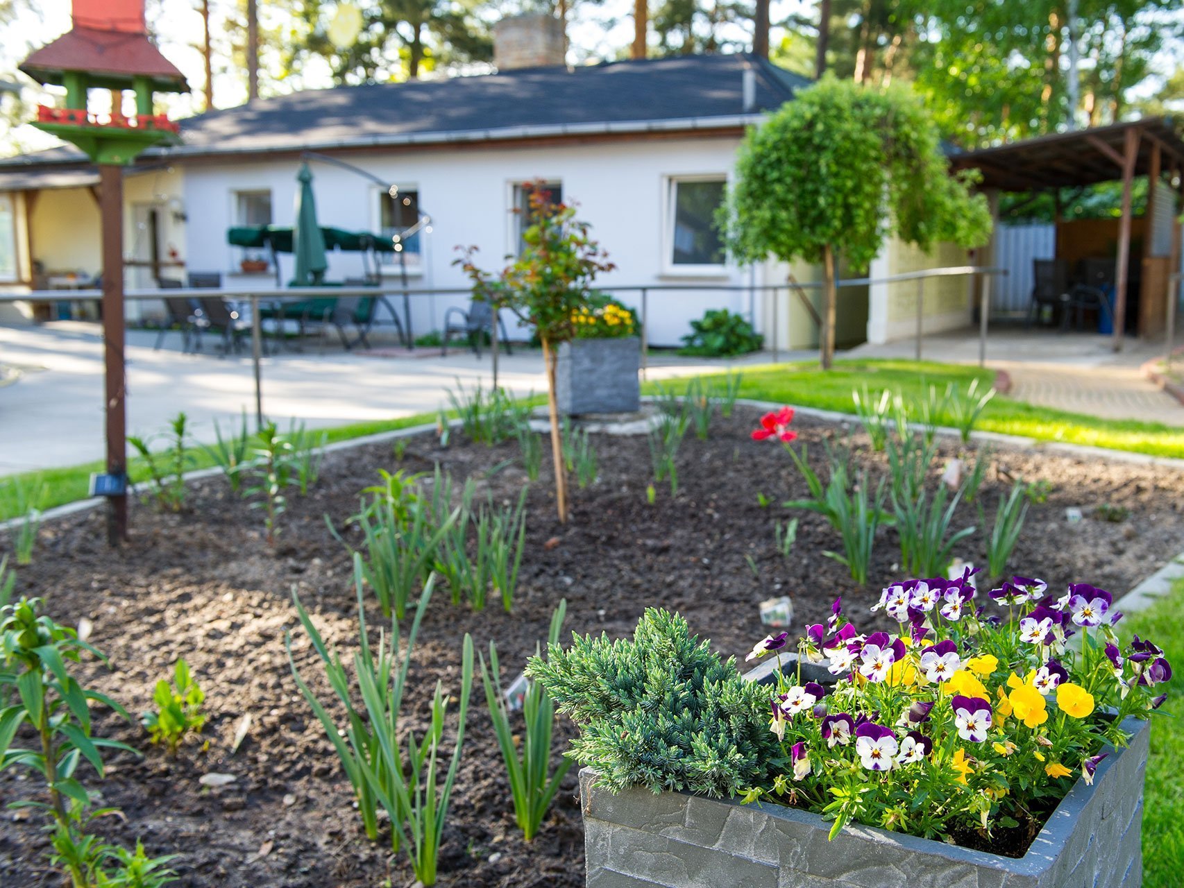 Im Garten: ein Blumenbeet